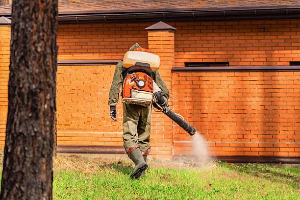 Trusted Ant Control service in Mount Ephraim, NJ - Nex Pest Control